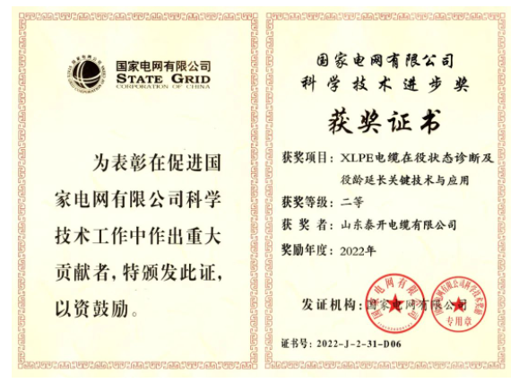 山東泰開電纜有限公司憑借其“XLPE電纜在役狀態(tài)診斷及役齡延長關(guān)鍵技術(shù)與應(yīng)用”項目，獲得了國家電網(wǎng)有限公司的“科學(xué)技術(shù)進步獎”，這是對該公司近年來高質(zhì)量發(fā)展的充分肯定。