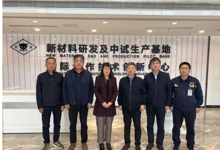 中國橡膠工業(yè)協(xié)會炭黑協(xié)會秘書長丁麗萍、中昊黑元化工研究設計院王家貴院長一行考察了青島黑貓研究院。黑貓股份黨委副書記、總經理魏明陪同考察組一同參觀了中試車間、黑貓文化展廳、研發(fā)中心及產學研中心。