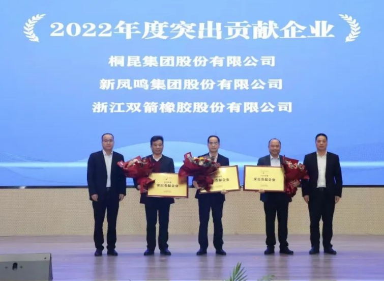 據(jù)悉，雙箭股份憑借在過(guò)去一年中的卓越表現(xiàn)，榮獲了“2022年度突出貢獻(xiàn)企業(yè)”和“2022年度科技人才先進(jìn)企業(yè)”兩項(xiàng)殊榮，表彰了企業(yè)在技術(shù)創(chuàng)新和經(jīng)濟(jì)發(fā)展方面的杰出貢獻(xiàn)。