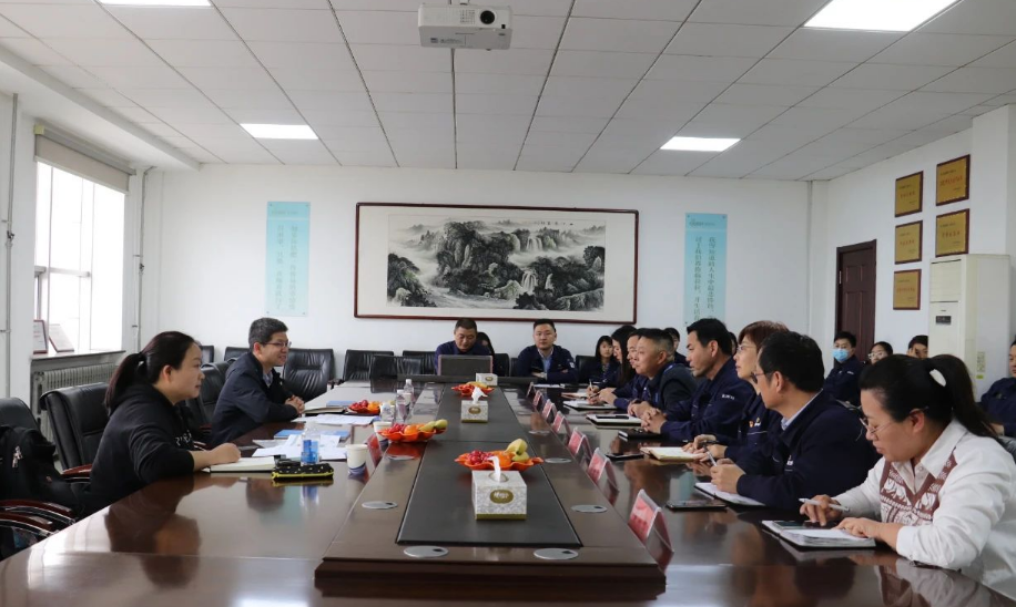 審核過程中，審核組以IATF16949質(zhì)量管理體系標(biāo)準(zhǔn)、ISO9001、ISO14001、GB/T45001管理體系標(biāo)準(zhǔn)、管理文件、產(chǎn)品標(biāo)準(zhǔn)、作業(yè)指導(dǎo)書等為審核準(zhǔn)則，通過現(xiàn)場(chǎng)查看和資料審查相結(jié)合的方式，深入車間生產(chǎn)現(xiàn)場(chǎng)、查閱了產(chǎn)品合同、物資采購(gòu)合同、供方評(píng)價(jià)、不合格的處理流程以及客戶滿意度、出廠記錄等相關(guān)資料，并與相關(guān)負(fù)責(zé)人進(jìn)行了溝通交流。