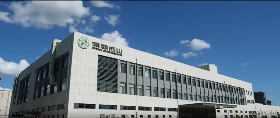 浦林成山的銷量基本持平，收入同比提升，國內(nèi)經(jīng)銷業(yè)務(wù)克服重重困難，提高市場份額。