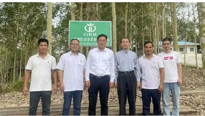 中國駐泰國宋卡總領(lǐng)事吳冬梅和中國駐馬來西亞古晉總領(lǐng)事邢偉平分別到訪廣墾橡膠泰國沙墩公司和廣墾橡膠馬來西亞砂撈越公司，考察了這兩家公司的生產(chǎn)情況和膠園管理情況，并聽取了企業(yè)經(jīng)營管理及黨建工作的匯報。
