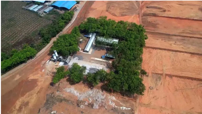 曼列橡膠加速推進(jìn)橡膠基地項(xiàng)目建設(shè)，助力地方經(jīng)濟(jì)增長(zhǎng)