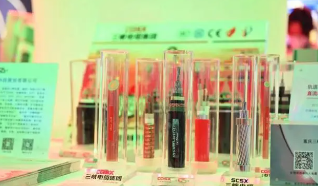 三峽電纜在展會(huì)現(xiàn)場展示了公司自主研發(fā)的一系列產(chǎn)品，其中包括重慶第一條軌道交通直流(FZ/FYS-GEA3DC)電纜、35kv軌道交通電纜以及礦物質(zhì)絕緣防火電纜(BTTZ、RTTZ、NG-A BTLY、BBTRZ)等。這些產(chǎn)品憑借其卓越的性能和質(zhì)量吸引了現(xiàn)場嘉賓和觀眾的高度關(guān)注。