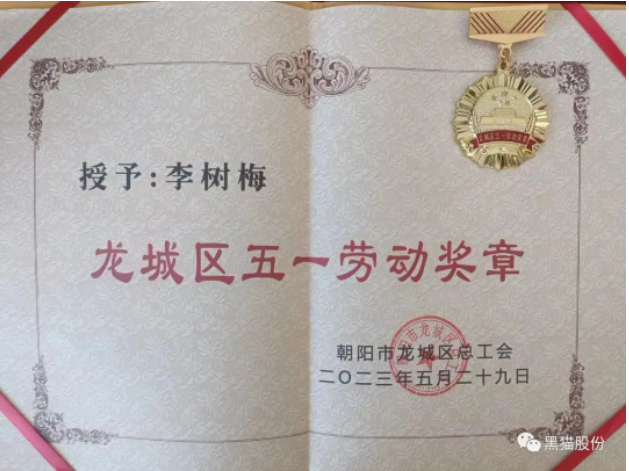 李樹(shù)梅同志在她的工作崗位上展現(xiàn)出了杰出的能力和卓越的業(yè)績(jī)。作為公司中層干部，她始終將公司利益置于首位，并不斷提升自己的專業(yè)水平。她通過(guò)努力學(xué)習(xí)，先后取得了管理學(xué)和工學(xué)學(xué)士學(xué)位，并獲得了經(jīng)濟(jì)師、機(jī)電工程師、電子工程師和化工助理工程師等多個(gè)職業(yè)資格證書(shū)。在她的帶領(lǐng)下，市級(jí)職工職業(yè)技能培訓(xùn)基地得以成立，為公司培養(yǎng)了更多的技術(shù)人才。