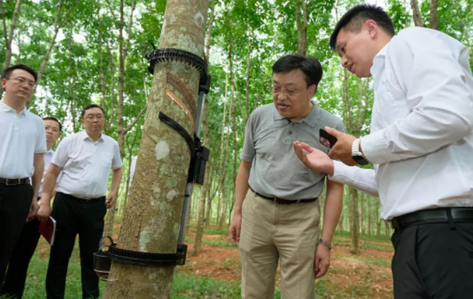 據(jù)了解，天然橡膠作為國(guó)家重要的戰(zhàn)略物資和工業(yè)原料，也是膠農(nóng)收入的重要來(lái)源。海南作為我國(guó)重要的天然橡膠生產(chǎn)和加工基地，馮飛書(shū)記指出，海南合勝橡膠科技有限公司和相關(guān)科研單位應(yīng)始終懷揣著"國(guó)之大者"的情懷，堅(jiān)定發(fā)展信心，聚焦海南天然橡膠全產(chǎn)業(yè)鏈發(fā)展，致力于打破產(chǎn)業(yè)鏈發(fā)展中的阻礙，推動(dòng)海南天然橡膠產(chǎn)業(yè)高質(zhì)量發(fā)展，確保國(guó)家天然橡膠供給的安全。