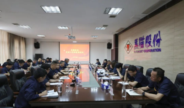 黑貓股份召開(kāi)了基層黨建工作部署推進(jìn)會(huì)，旨在進(jìn)一步強(qiáng)化黨對(duì)公司及各單位發(fā)展的引領(lǐng)作用。黑貓股份黨委副書(shū)記、董事長(zhǎng)、總經(jīng)理魏明以及黨政領(lǐng)導(dǎo)班子成員出席了會(huì)議，會(huì)議由公司黨委專(zhuān)職副書(shū)記周芝凝主持。