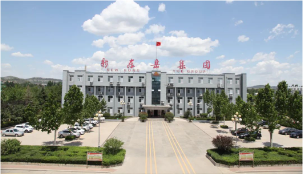 這次會議為新東岳集團公司的高級管理人員提供了一個交流和總結(jié)的平臺，以進一步推動企業(yè)的高效運營。