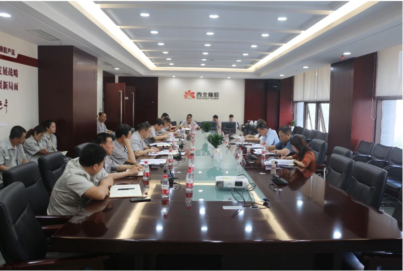 為加強(qiáng)安全生產(chǎn)管理，確保安全底線，延長石油集團(tuán)公司安全包聯(lián)領(lǐng)導(dǎo)解金城一行于今日來到陜西延長石油西北橡膠有限公司，展開了包聯(lián)單位的安全專項(xiàng)督查工作。在張航偉公司總經(jīng)理和黨委副書記的陪同下，相關(guān)領(lǐng)導(dǎo)班子成員和部門負(fù)責(zé)人參加了座談交流。