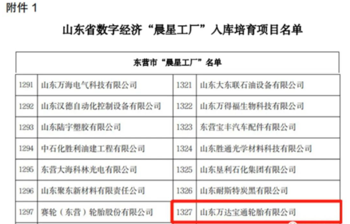 山東省工業(yè)和信息化廳近日發(fā)布了《關(guān)于開展數(shù)字經(jīng)濟(jì)“晨星工廠”入庫培育工作的通知》。山東萬達(dá)寶通輪胎有限公司憑借其先進(jìn)的生產(chǎn)制造技術(shù)和產(chǎn)業(yè)智能化系統(tǒng)的優(yōu)勢(shì)，成功入選該計(jì)劃。這也是該公司為推動(dòng)數(shù)字經(jīng)濟(jì)發(fā)展，加快傳統(tǒng)制造業(yè)數(shù)字化、智能化轉(zhuǎn)型升級(jí)工作所獲得的又一榮譽(yù)。