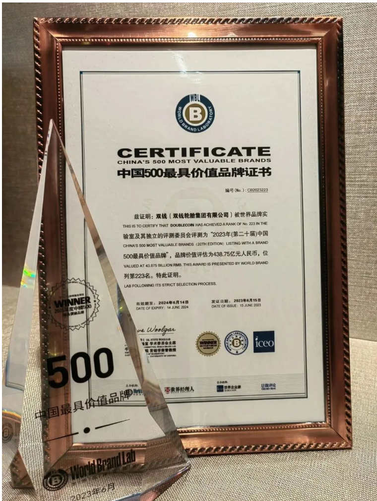 雙錢輪胎以其強大的品牌實力成功入選了“中國500最具價值品牌”排行榜，位列第223位，其品牌價值高達438億元。