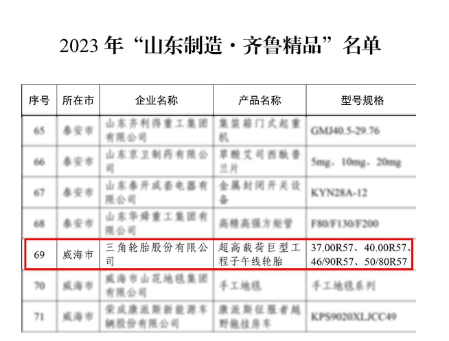 三角輪胎在這些榮譽中的獲得，充分展示了其在科學研究、工業(yè)領(lǐng)域和制造業(yè)發(fā)展方面的卓越表現(xiàn)。