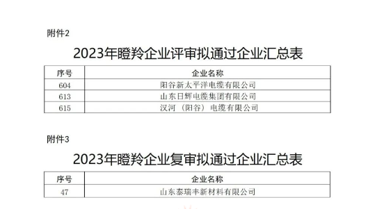 山東省工業(yè)和信息化廳在本次認定工作中嚴格按照相關文件規(guī)定的程序和標準進行評選，充分尊重市場主體自愿申報的原則，注重專家評審和第三方信用評級的公正性與權威性，確保了認定結果的準確性和公信力。