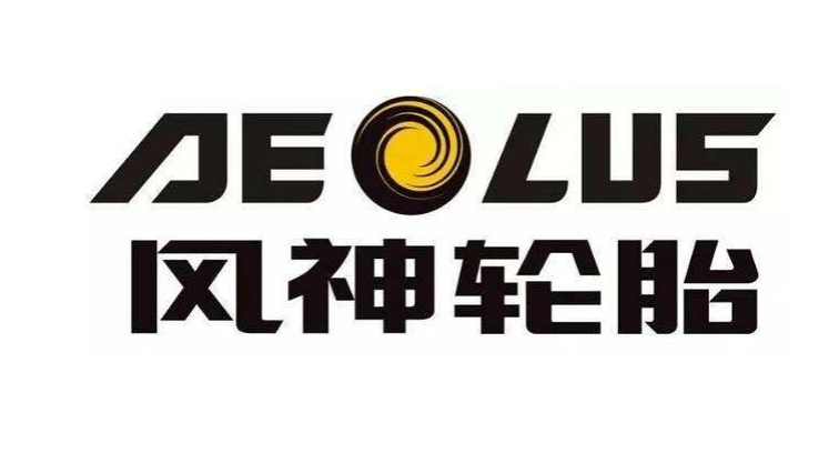 河南省制造業(yè)頭雁企業(yè)名單正式對(duì)外公布。在這份名單中，風(fēng)神輪胎股份有限公司脫穎而出，成為唯一入選的輪胎企業(yè)。