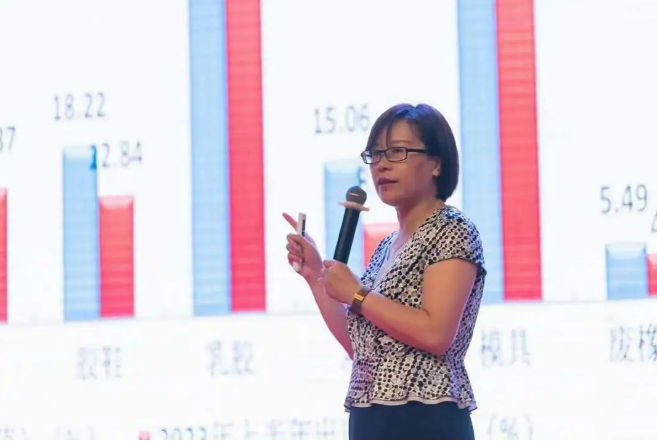 中國橡膠工業(yè)協(xié)會會長徐文英