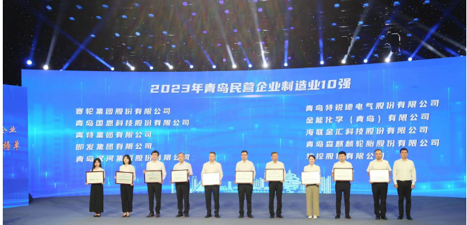 依托青島科技大學(xué)的支持，賽輪集團(tuán)憑借其內(nèi)在的科技創(chuàng)新基因脫穎而出。成立20余年來，該集團(tuán)始終秉持著“做一條優(yōu)質(zhì)輪胎”的使命，緊緊抓住自主創(chuàng)新這一引擎，聯(lián)合國家橡膠與輪胎工程技術(shù)研究中心，全力攻克一系列核心技術(shù)難題。不僅成功研發(fā)出世界最大尺寸的63吋巨型工程子午胎，還發(fā)布了全球首個(gè)投入使用的橡膠工業(yè)互聯(lián)網(wǎng)平臺(tái)——“橡鏈云”。此外，其還運(yùn)用全球首創(chuàng)的化學(xué)煉膠技術(shù)，成功研發(fā)出新一代輪胎產(chǎn)品，被譽(yù)為“液體黃金”輪胎。這一產(chǎn)品不僅在耐磨方面實(shí)現(xiàn)突破，還在節(jié)能、舒適性和制動(dòng)距離等方面做出了顯著貢獻(xiàn)，解決了業(yè)界長期面臨的“魔鬼三角”難題。