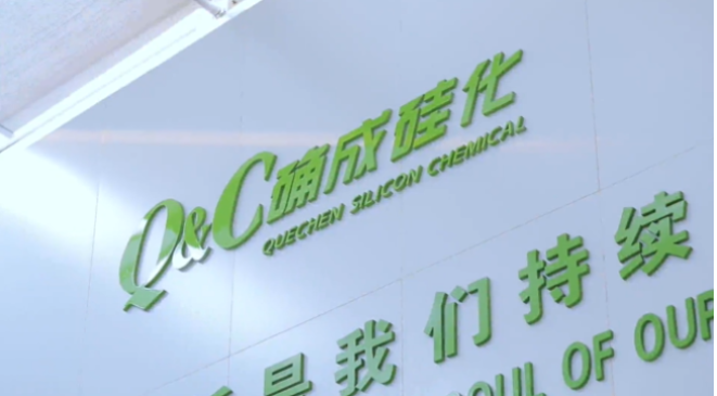 確成硅化學(xué)股份有限公司自成立至今，專注于沉淀法二氧化硅產(chǎn)品的研發(fā)、制造和銷售，經(jīng)過20年的發(fā)展，已經(jīng)成為全球主要的二氧化硅產(chǎn)品專業(yè)制造商之一。確成股份擁有從原材料硫酸、硅酸鈉到最終產(chǎn)品二氧化硅的制造產(chǎn)業(yè)鏈，產(chǎn)品主要市場聚焦在橡膠工業(yè)領(lǐng)域的高性能子午線綠色輪胎配套專用材料以及動物營養(yǎng)品領(lǐng)域的動物飼料載體用二氧化硅。此外，確成股份在國內(nèi)外擁有多個生產(chǎn)基地，總產(chǎn)能位列世界第三位，主要客戶包括國際知名輪胎和動物營養(yǎng)品公司。