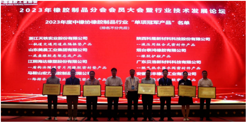 在行業(yè)技術(shù)發(fā)展論壇上，15位嘉賓在橡膠密封、軌道交通、產(chǎn)品檢測(cè)、原材料等領(lǐng)域?yàn)榕c會(huì)代表做了精彩的報(bào)告。