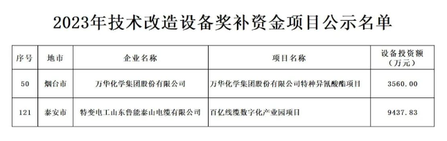 根據(jù)山東省政府《關(guān)于印發(fā)2023年“穩(wěn)中向好、進(jìn)中提質(zhì)”政策清單(第一批)的通知》(魯政發(fā)〔2022〕18號)以及《關(guān)于組織申報2023年技術(shù)改造設(shè)備獎補資金項目的通知》(魯工信規(guī)〔2023〕109號)的要求，山東省工業(yè)和信息化廳積極組織并展開了2023年技術(shù)改造設(shè)備獎補資金項目評審工作。在經(jīng)歷了企業(yè)申報、各市推薦、財務(wù)審核、專家評審、部門核查等多個環(huán)節(jié)后，最終擬定了包含216個項目的2023年技術(shù)改造設(shè)備獎補資金項目名單。