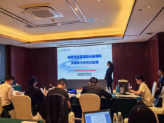 突破！湖南橡塑新型填料實現60%以上炭黑替代