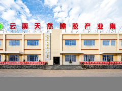 云南省首批！云膠墨江公司橡膠林通過FSC認(rèn)證